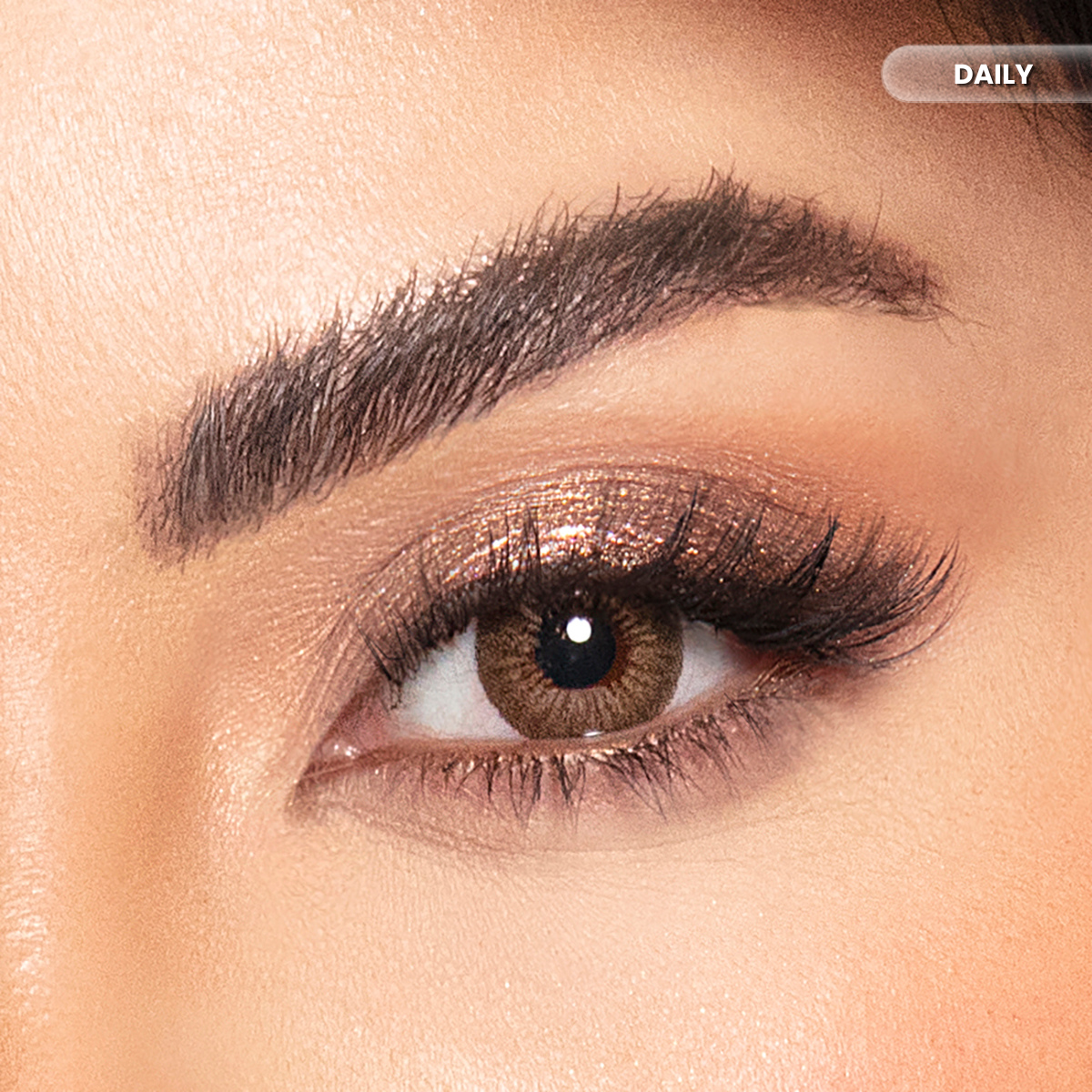 Amara Daily Amber Color Contact Lenses – Pack of 10