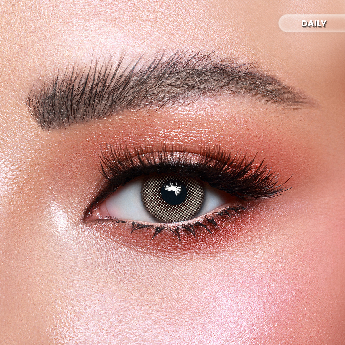 Amara Daily Honey Color Contact Lenses – Pack of 10