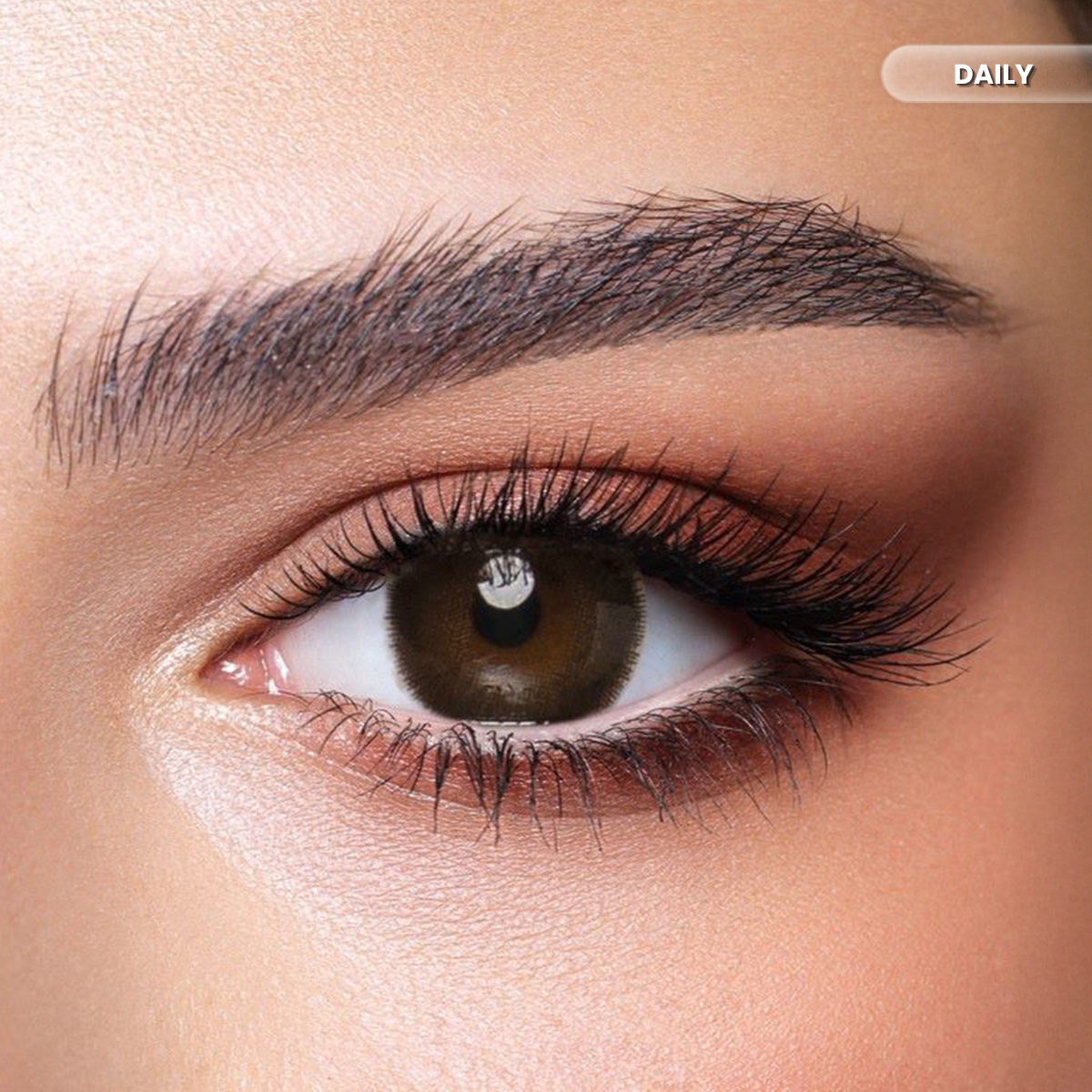 Bella Daily Cedar Color Contact Lenses – Pack of 10