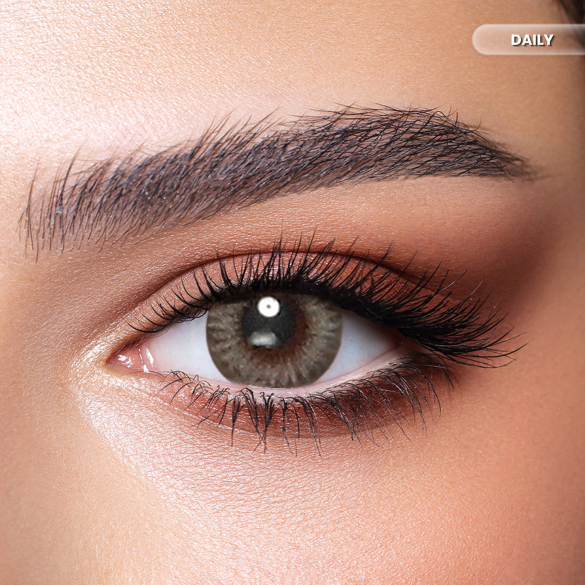 Bella Daily Platinum Gray Color Contact Lenses – Pack of 10