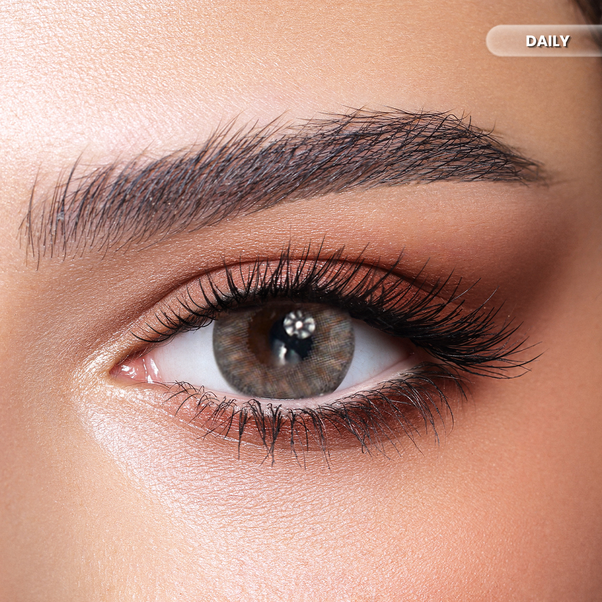 Bella Daily Rosewood Color Contact Lenses – Pack of 10