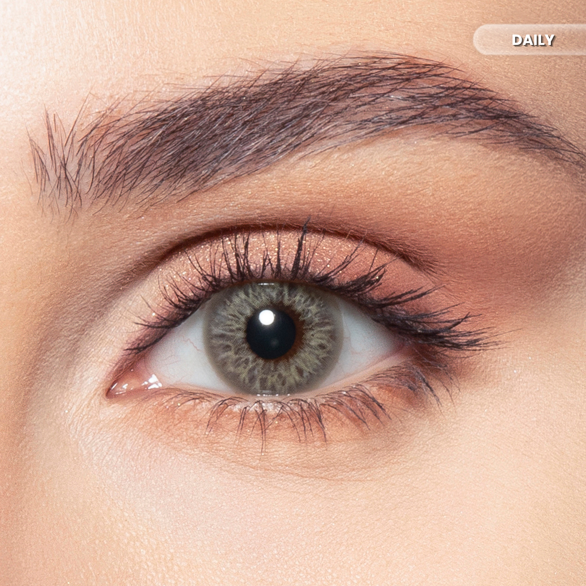 Bella Daily Earth Color Contact Lenses – Pack of 10