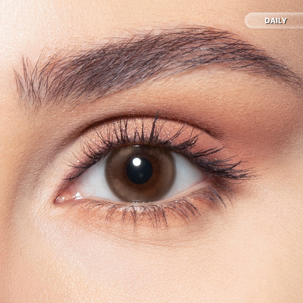 Bella Daily Venus Color Contact Lenses – Pack of 10