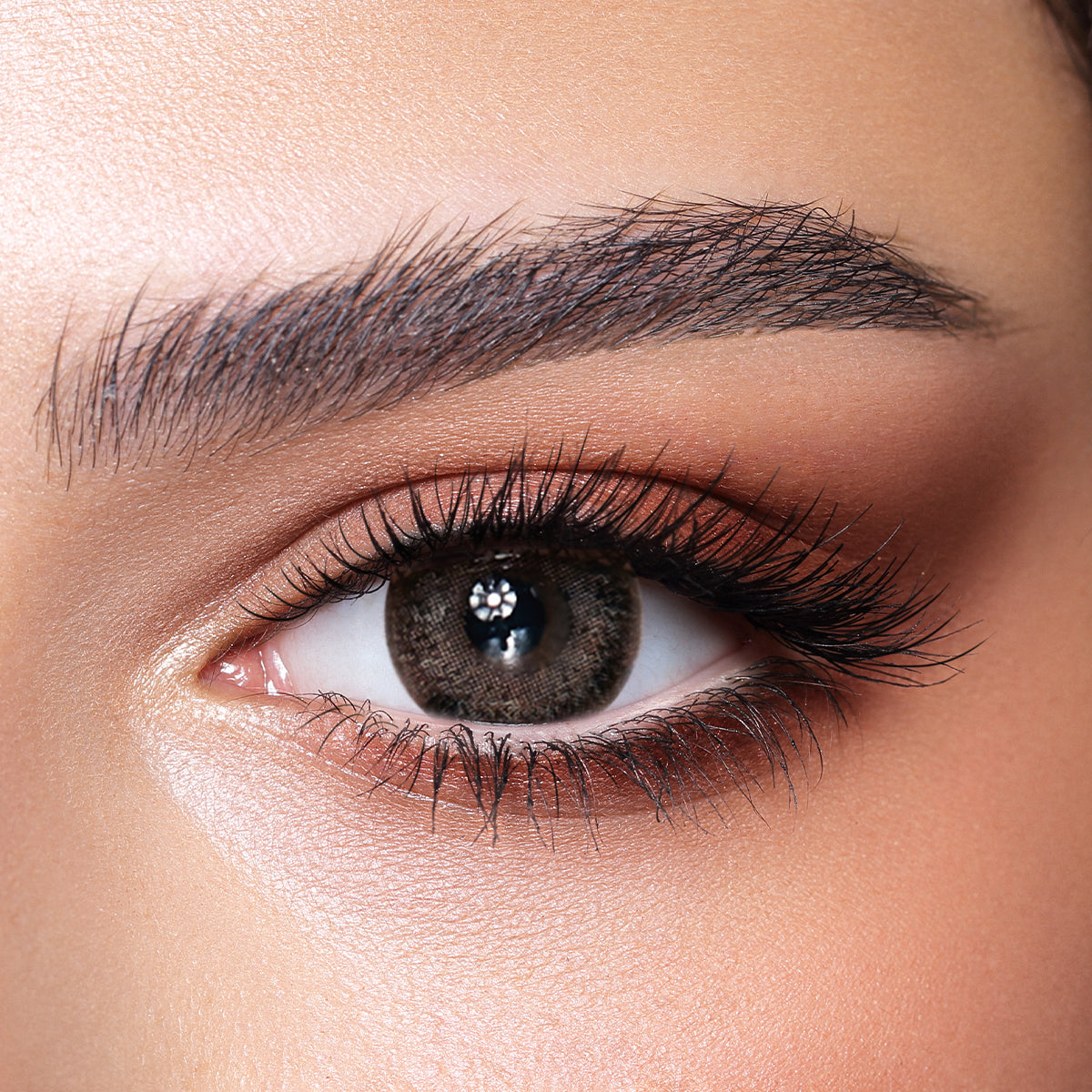 Bella Daily Ash Brown Color Contact Lenses – Pack of 10