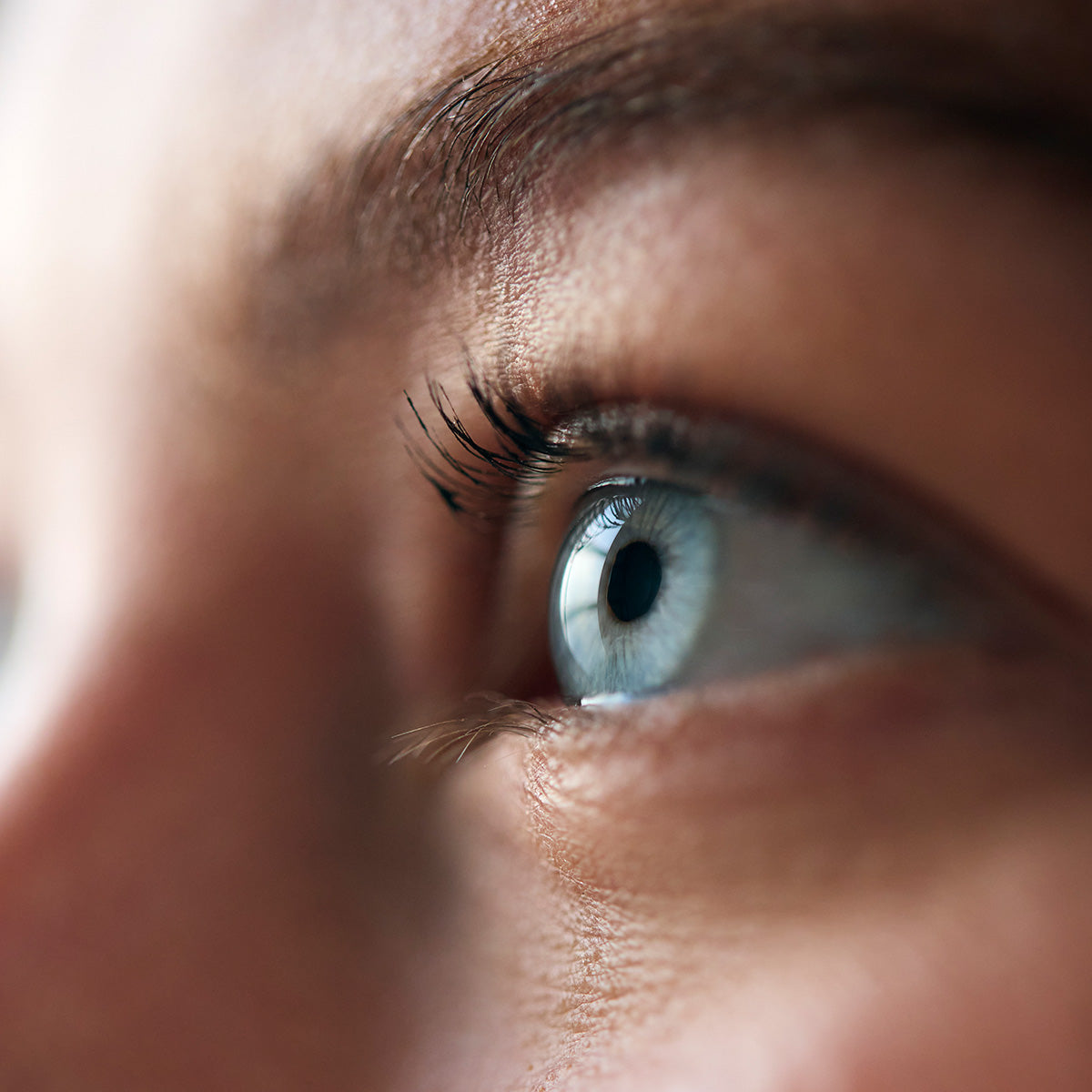 Contact Lenses