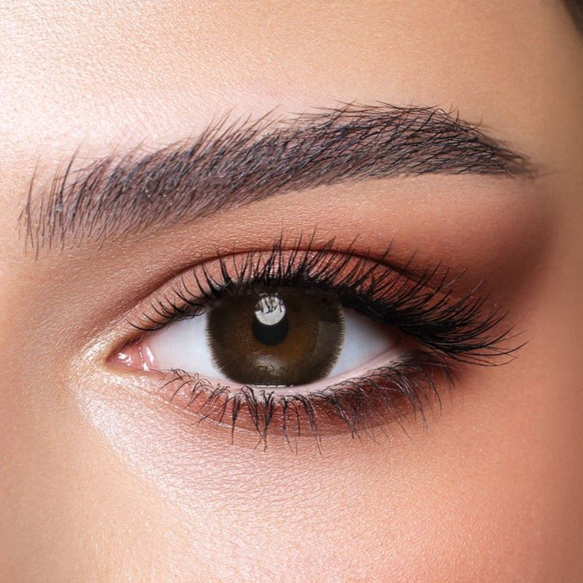 Bella Color Contact Lenses - Cedar
