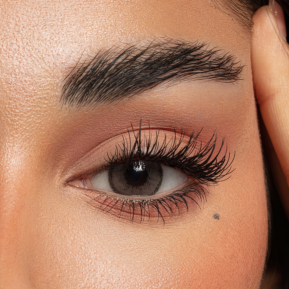 Amara Color Contact Lenses - Chai