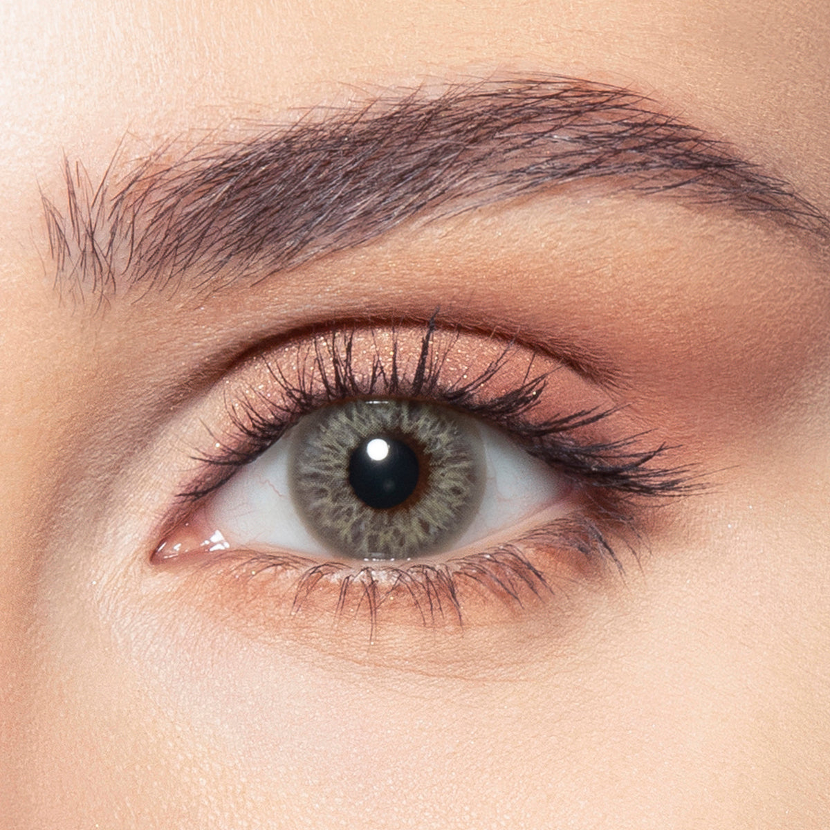 Bella Color Contact Lenses - Earth