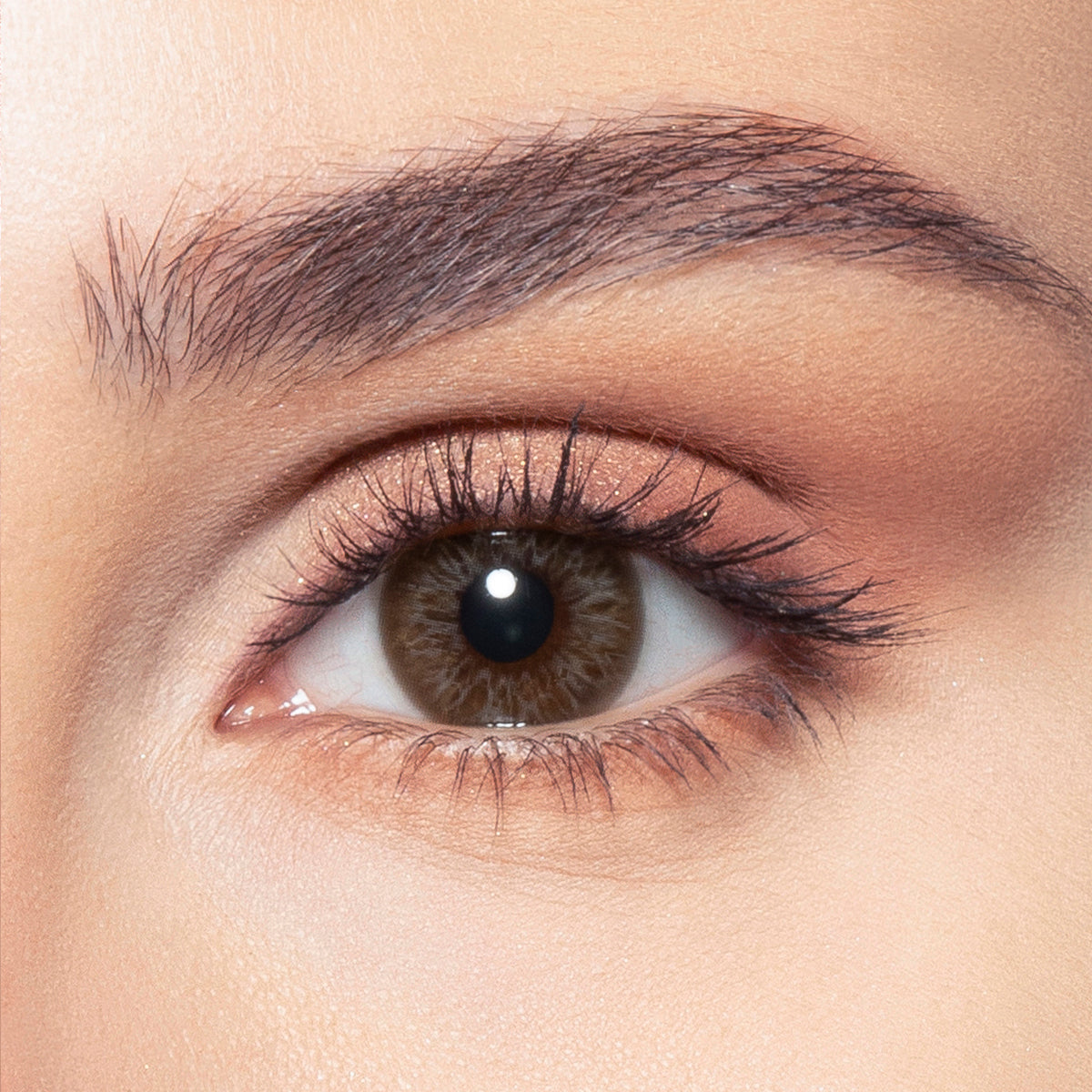 Bella Color Contact Lenses - Moon