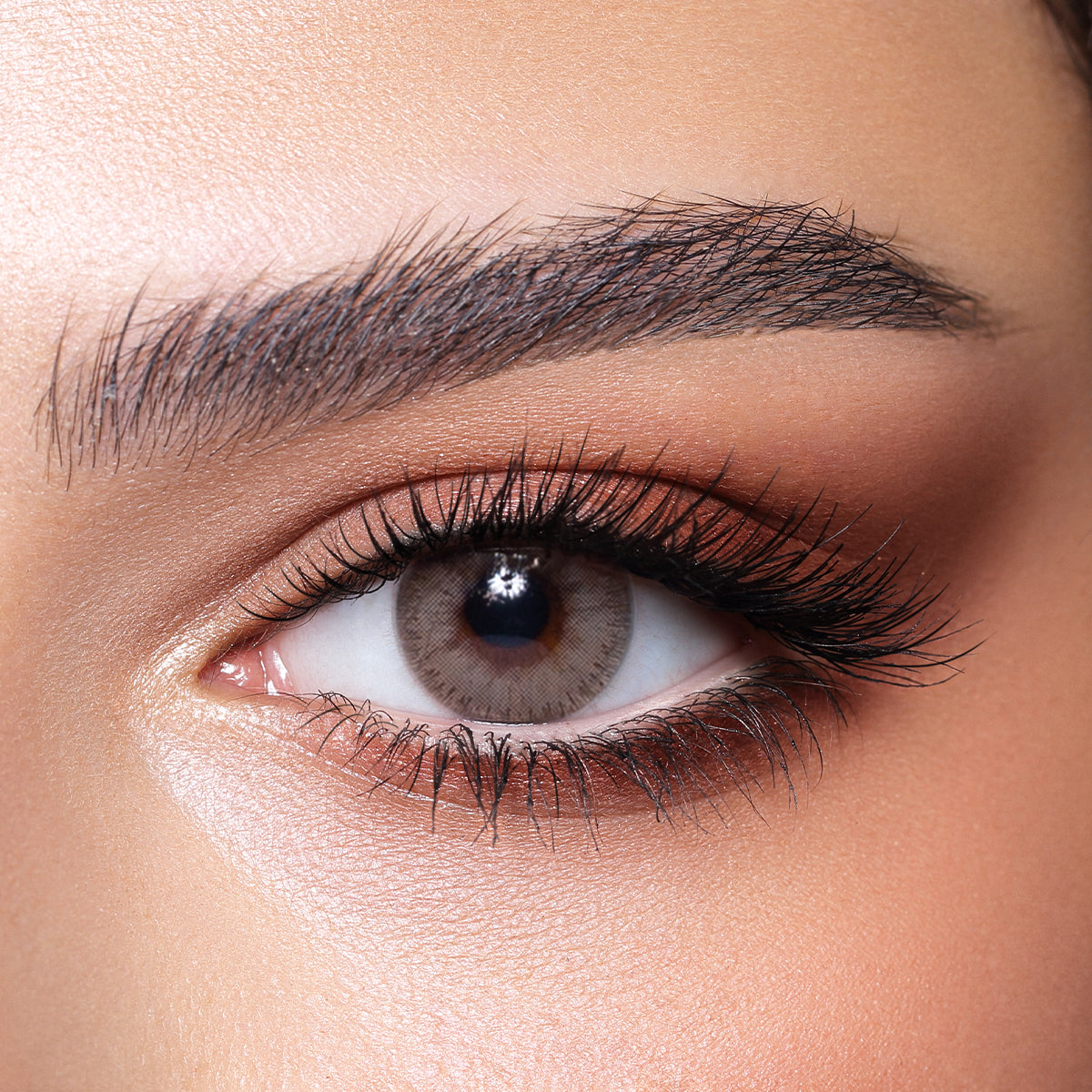 Bella Color Contact Lenses - Sandy Gray