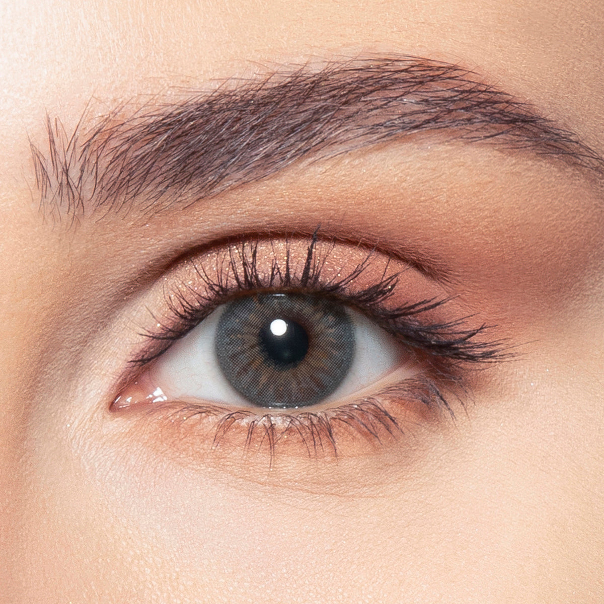 Bella Color Contact Lenses - Saturn