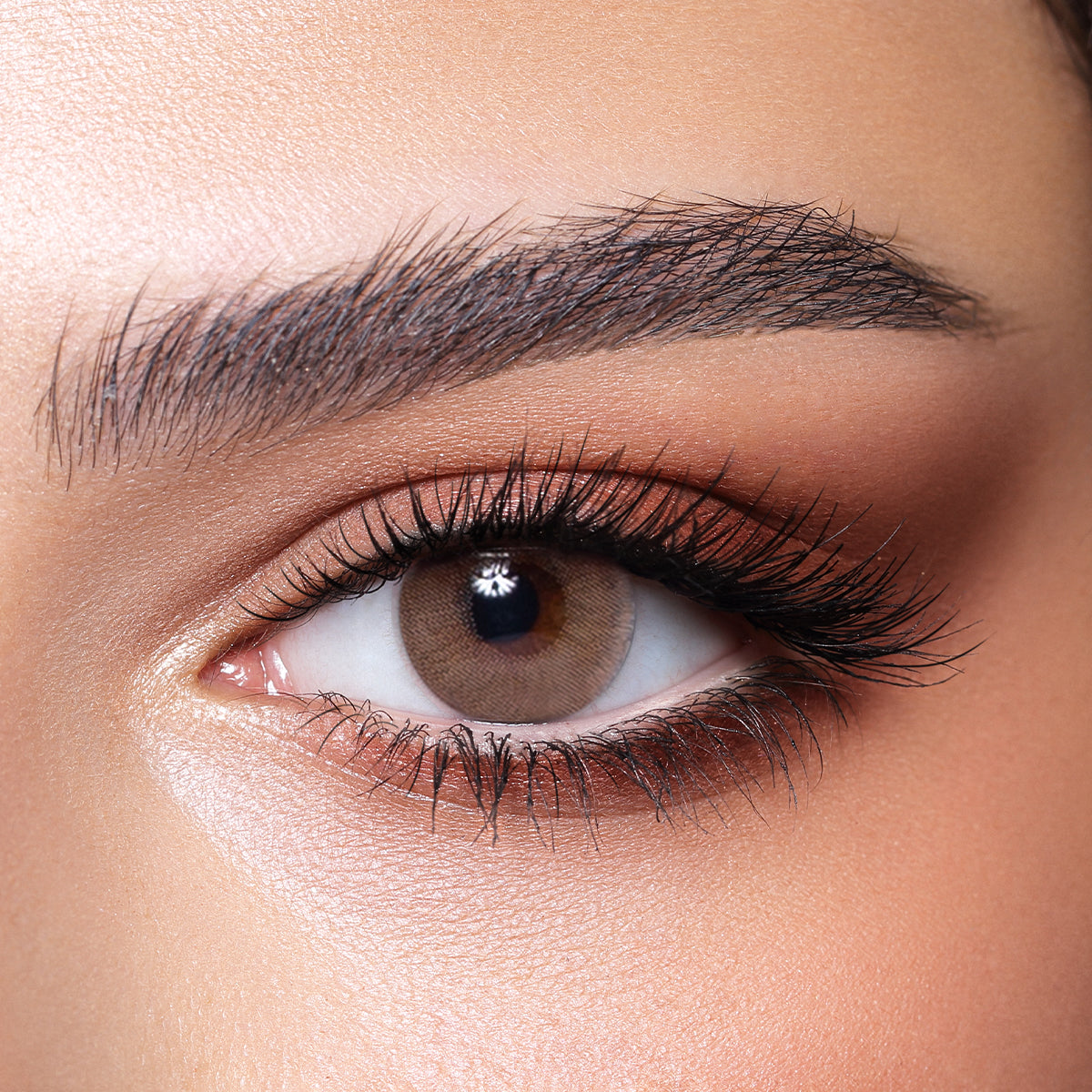 Bella Color Contact Lenses - Wild Honey