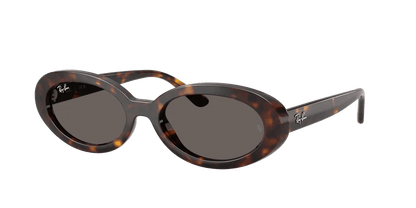 Ray-Ban - Sunglass – Women - Oval Havana
